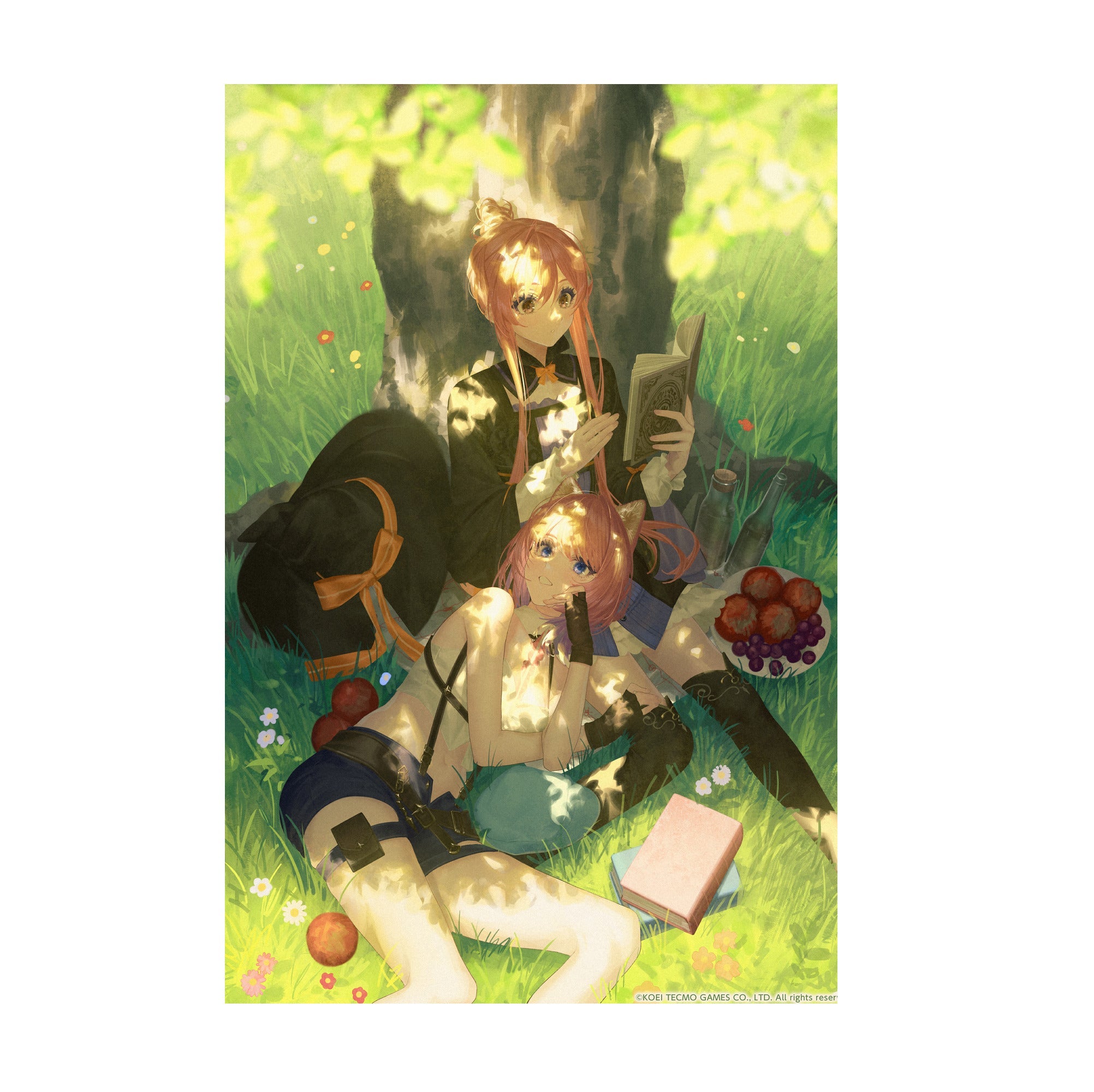 Atelier Resleriana The Red Alchemist and the White Guardian Illustration 8 print
